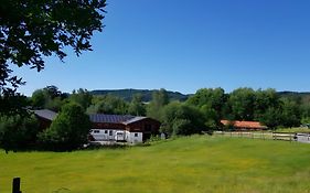 Urlaub auf der Aspen Ranch